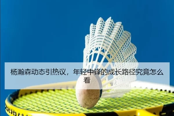 杨瀚森动态引热议，年轻中锋的成长路径究竟怎么看
